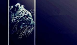 诺基亚手机壁纸全屏