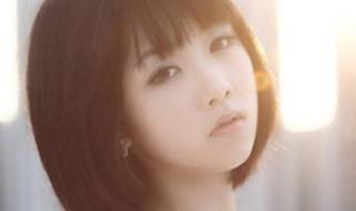 适合瓜子脸的发型