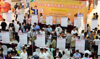 山东省高校毕业生