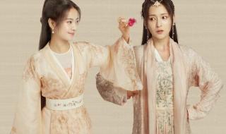 电视剧雪豹攻打涞阳军火库是哪一集 清风寨是哪部电视剧